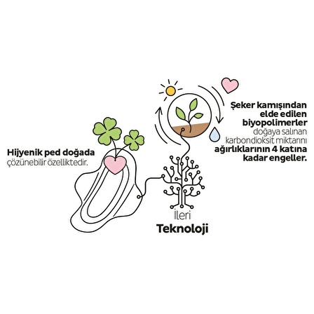 Sleepy Ecologic Premium Plus 80'li Günlük Ped